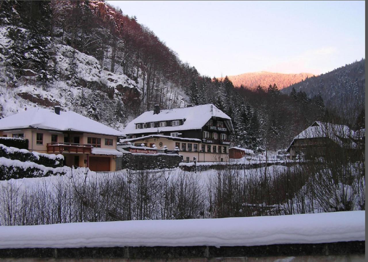Hotel Waldeck In トートナウ エクステリア 写真