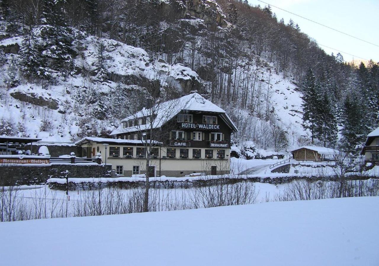 Hotel Waldeck In トートナウ エクステリア 写真